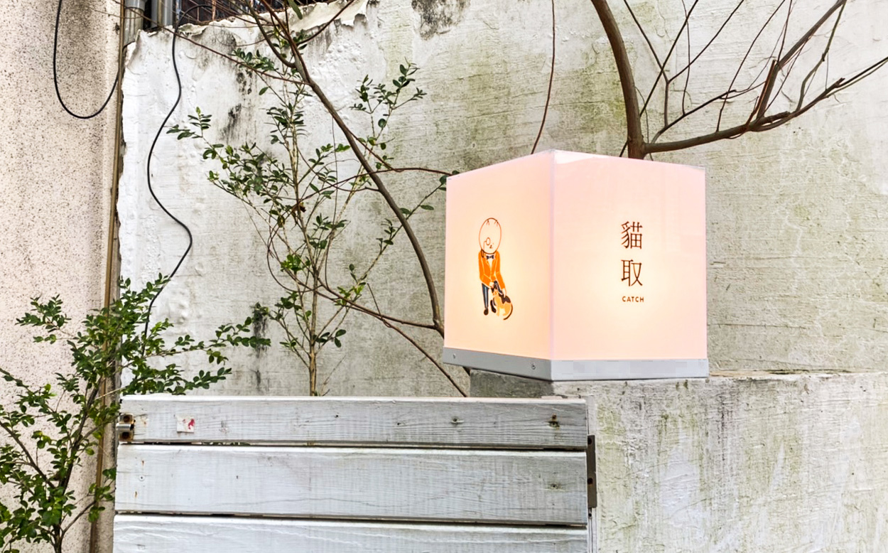 貓取